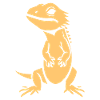 Bearded Dragon