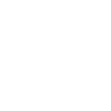 Dragon barbu