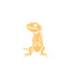 Dragon barbu