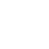 Dragon barbu