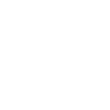 Bearded Dragon