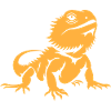 Bearded Dragon