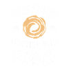 Everything is better with hummus