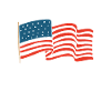 DiAmerican Pride Flag-t-shirt