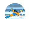 RC Airplanes Hobbyist T-shirt
