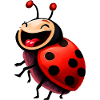 Coccinelle