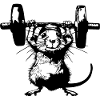 Iron Rat: Strength with Style
