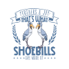 Feathers and Joy - Shoebill