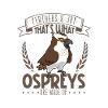 Feathers and Joy - Osprey
