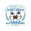 Feathers and Joy - Blue-footed Boobies