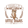 Feathers and Joy - Little Owl