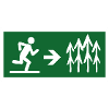 exit to the forest