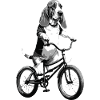 Dog on a bassethound bicycle