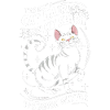 Katze Devon Rex Geschenk