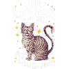 Katze Selkirk Rex Geschenk