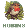 Robin Rotkehlchen