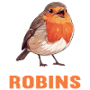 Robin Rotkehlchen