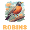Robin Rotkehlchen