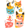 Eight kittens