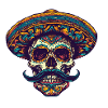 Mexican Skull