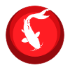 Koi Fish Pond