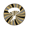 Skydiving Parachute Air