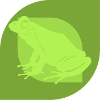 Frog Quark Amphibian