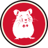 Rodent Mouse