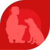 Dog Trainer Dog Training