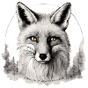 Fuchs - Blick in die Tiefe