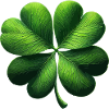 Four-leaf clover