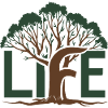 Life Tree