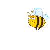 Bad-tempered bee
