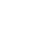 Levin