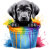 Labrador Hund Hunderasse