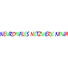 Neural Network Ninja