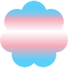 Subtle Transgender Pride