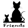 Cat and mouse as friends