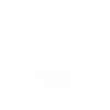 tennis, tennis fan, tennis racket