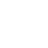 the five elements