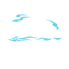 Cruise