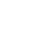 Mountaineer 1999
