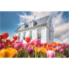 Photoshop AI Haus