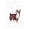 Katze American Bobtail Geschenk