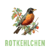 Robin Rotkehlchen