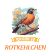 Robin Rotkehlchen