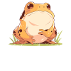 Toad Toads Toad