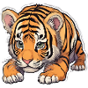 BÉBÉ TIGRE 4