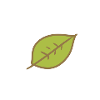 Icon Flag Leaf Nature