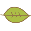 Leaf Green Shape Nature
